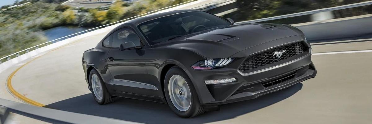 2022 Mustang EcoBoost Fastback
