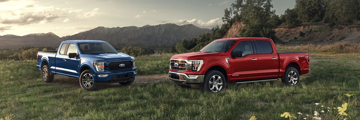 New Ford F-150 XLT