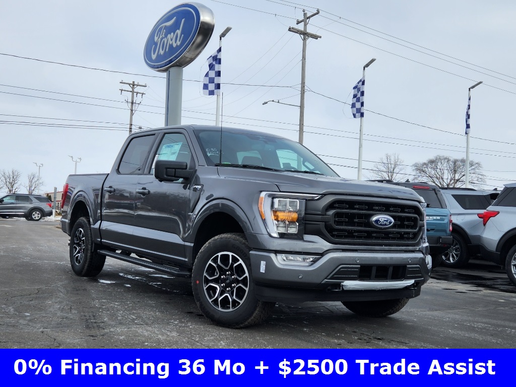 Lunghamer Auto Group Owosso and Perry New and Used Ford Dealership MI